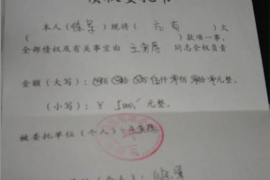 融水债务清欠服务